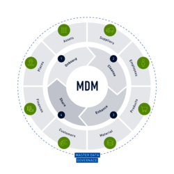 MDM Process