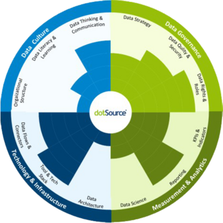 Parameters of the dotSource Data Maturity Assessment