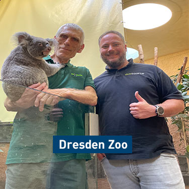 dotSource Social Commitment Dresden Zoo Koala Bear Sponsorship