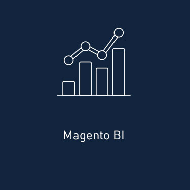 Magento BI