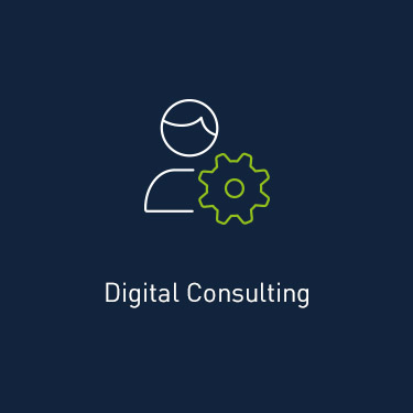 Digital Consulting