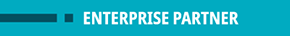 Stibo Systems Enterprise Partner