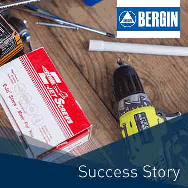 Strategic E-Commerce Conception and Scoping Phase for Bergin