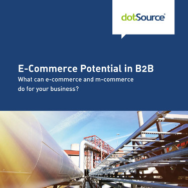 »E-Commerce Potential in B2B« White Paper